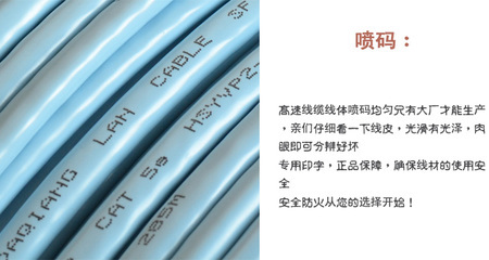 超五類雙屏蔽網絡線 連接未來的高速通道